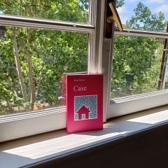 Il libro "Case" appoggiato ad una finestra con degli alberi all'esterno